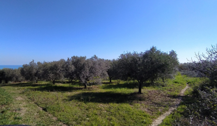 !Zona Panoramica! - !A pochi passi dal mare!